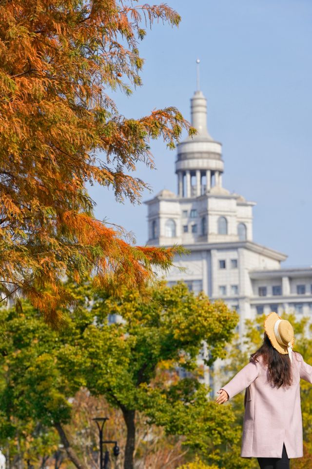 在武漢！99%人都不知道的紅杉公園，免費