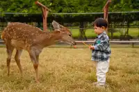 2h直達上海周邊遛娃聖地南通野生動物