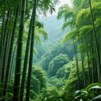 別再亂衝了這份宜賓冬季旅行請收好