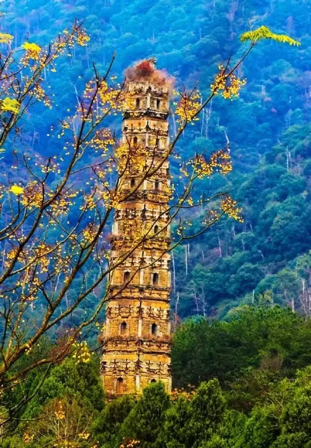 秋日國清寺:在千年古剎尋一份靜謐 秋日國清寺:在千年古剎尋一份靜謐