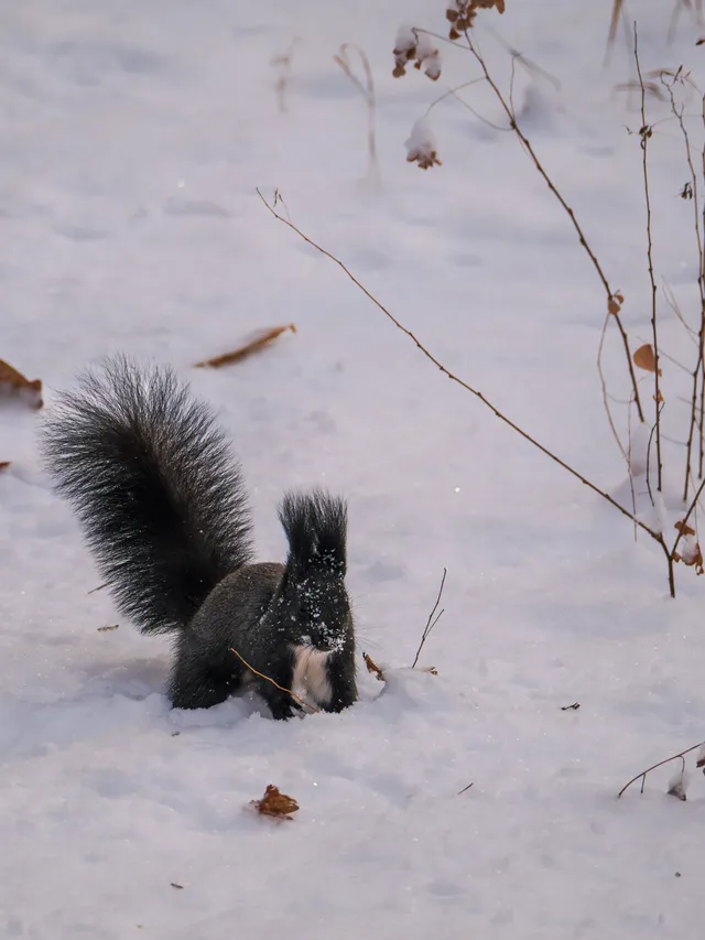 再吃，再吃就把你拍下來，放到網上去！