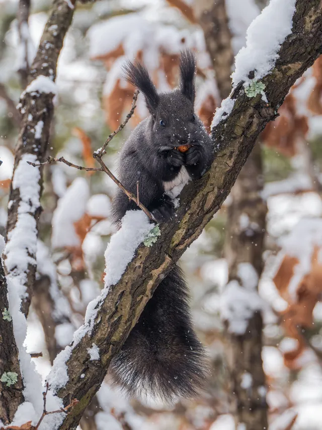 再吃，再吃就把你拍下來，放到網上去！
