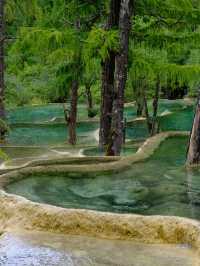 阿壩2日遊保姆攻略|避坑+必玩全收錄