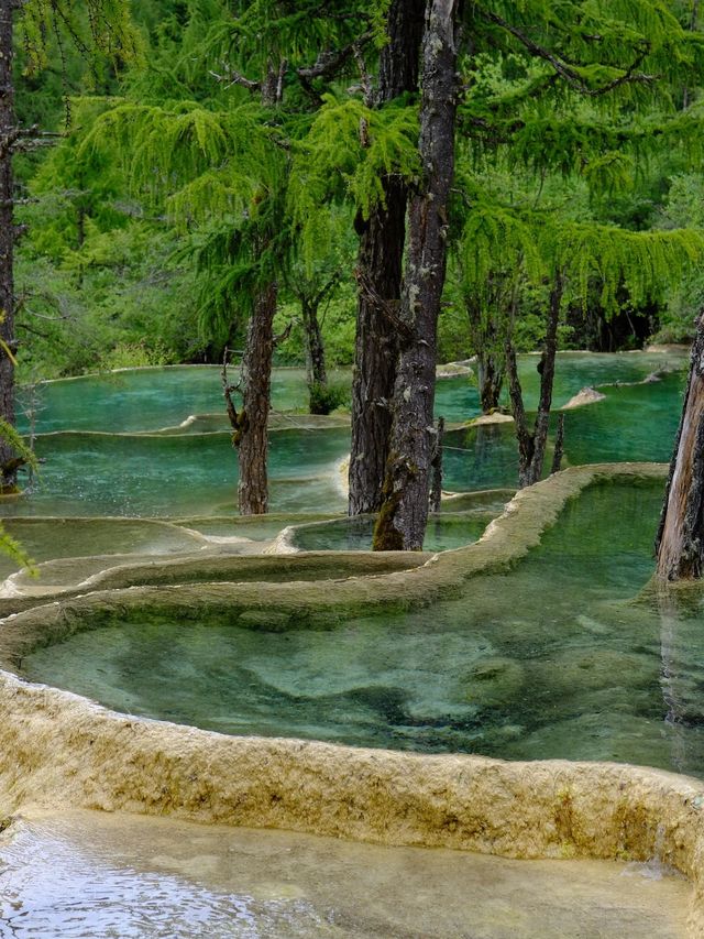 阿壩2日遊保姆攻略|避坑+必玩全收錄 阿壩2日遊保姆攻略|避坑+必玩全收錄