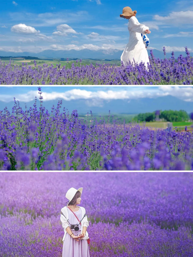 速速保存！夏天去20℃北海道這樣玩封神