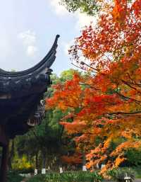 坐著11號線去看秋(上海周邊遊)