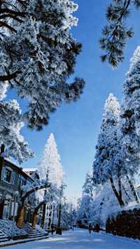 江西降溫了，又想念廬山的雪了|||作為南方人，從小對雪就