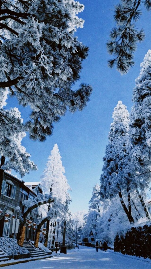 江西降溫了，又想念廬山的雪了|||作為南方人，從小對雪就