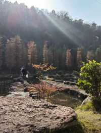 宋山煥新回歸！宜昌周邊爬山吸氧好去處
