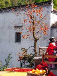 比起黃山,我更愛國家地理推薦的這座寶藏仙山