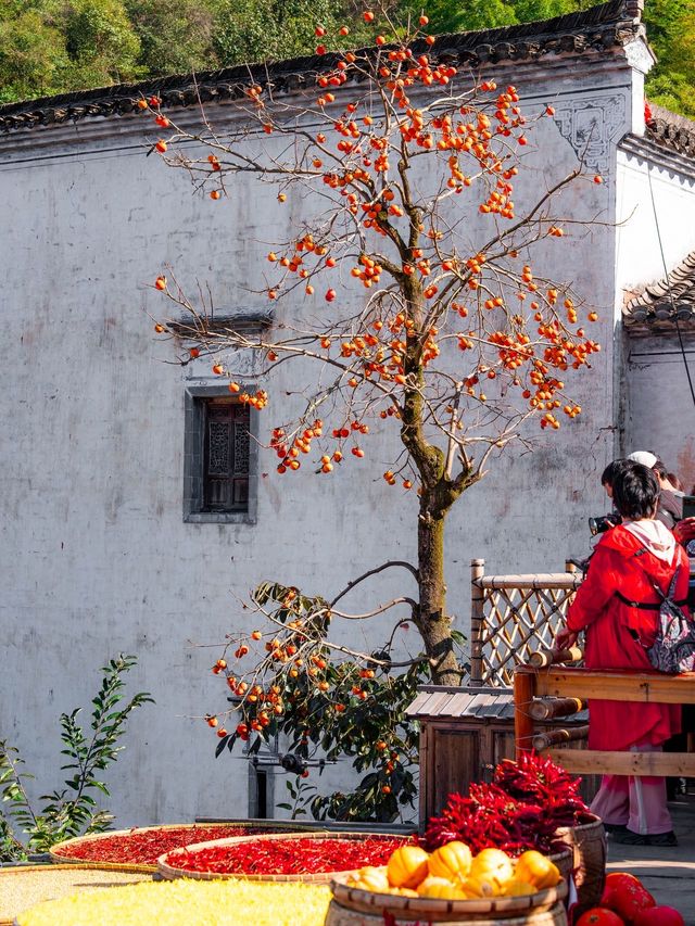 比起黃山,我更愛國家地理推薦的這座寶藏仙山 比起黃山,我更愛國家地理推薦的這座寶藏仙山