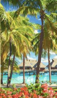 波拉波拉島深度遊｜墜入藍色烏托邦的神仙體驗《動漫版》