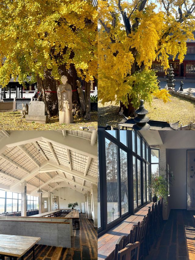 青浦私藏治癒路線！千年銀杏+關公咖啡+柴窯麵包的慢活美學