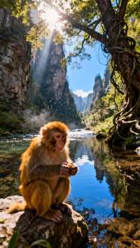 探秘潘多拉星球！4天3夜張家界奇幻之旅全攻略