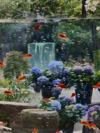 城市中心的氧吧🫧