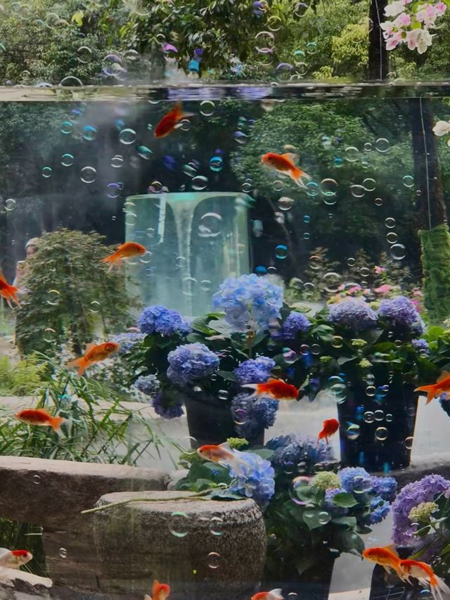 城市中心的氧吧🫧 城市中心的氧吧🫧