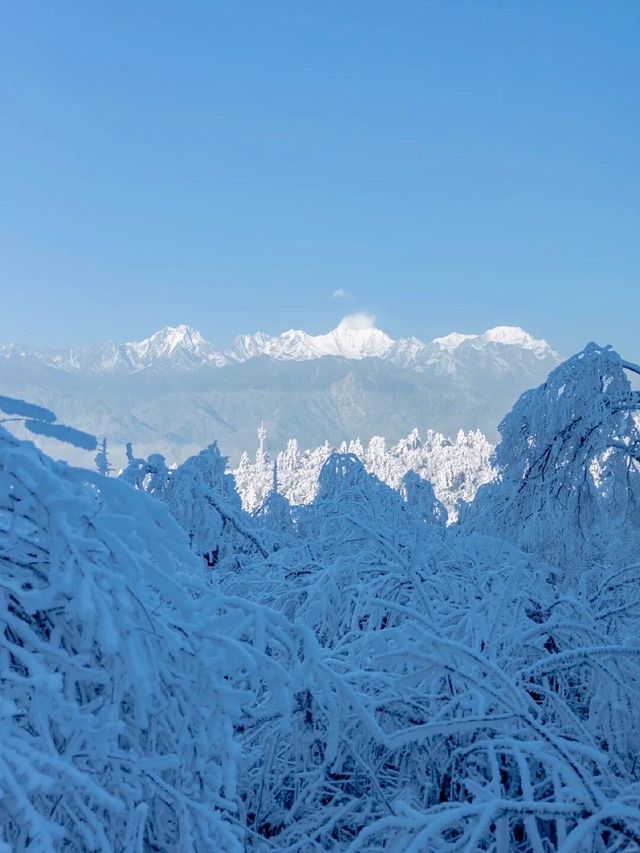 霧淞仙境美如畫
