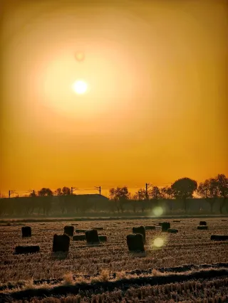 칭다오 숨겨진 초원 사각 짚단 + 기차와 함께 찍으면 너무 멋져요