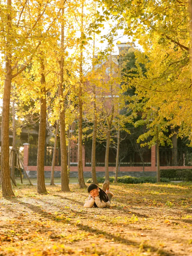 找到了!上海黃得最早的銀杏林免費人少 找到了!上海黃得最早的銀杏林免費人少