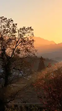 晨霧繚繞的皖南秋色太值得一看了