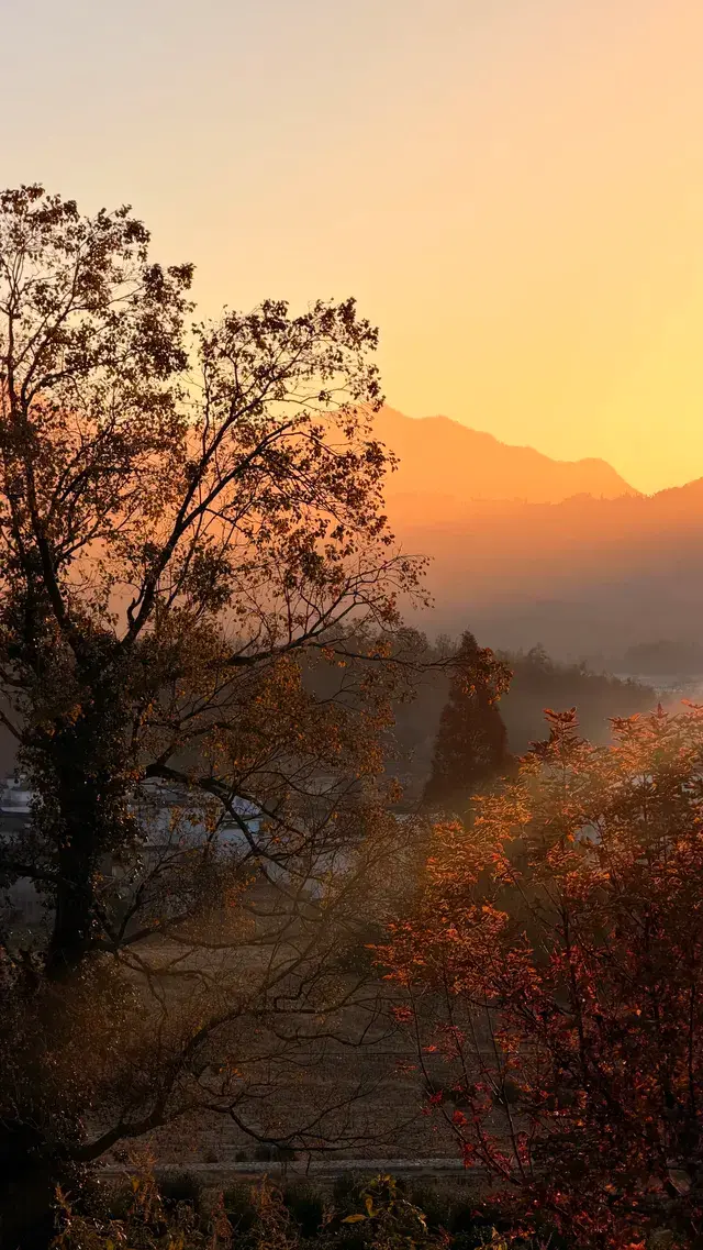 晨霧繚繞的皖南秋色太值得一看了 晨霧繚繞的皖南秋色太值得一看了