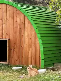 週末|到莫干山下感受陽光和快樂