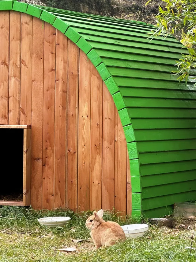 週末|到莫干山下感受陽光和快樂 週末|到莫干山下感受陽光和快樂