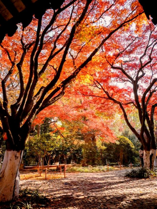 虞山秋日 虞山秋日