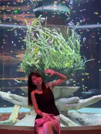 越南免簽富國島居然意外的漂亮和好玩