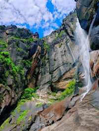 西藏林芝深度遊:邂逅雪山桃花與森林的浪漫