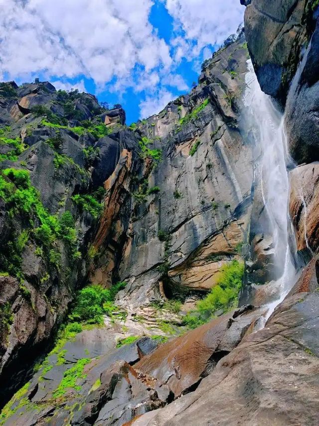 西藏林芝深度遊:邂逅雪山桃花與森林的浪漫 西藏林芝深度遊:邂逅雪山桃花與森林的浪漫