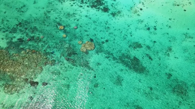 被譽為「海底熱帶雨林」-澳大利亞大堡礁