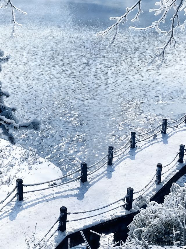 廬山兩天一夜看雪攻略|南方寶子的冰雪奇緣圓夢記 廬山兩天一夜看雪攻略|南方寶子的冰雪奇緣圓夢記