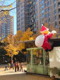 12.9live黃金城道銀杏實拍