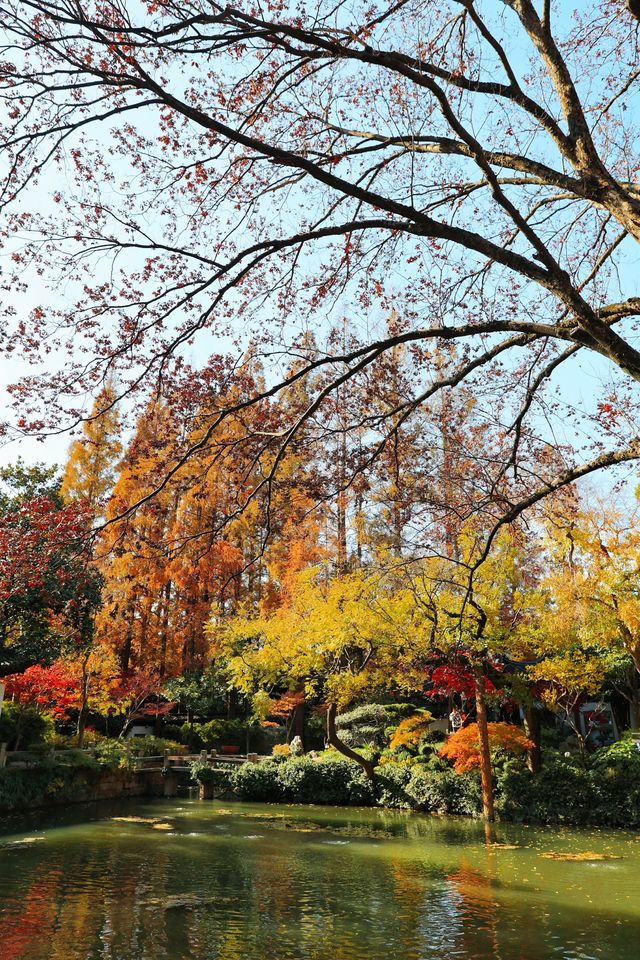 不愧為上海五大園林,驚嘆老祖宗的審美! 不愧為上海五大園林,驚嘆老祖宗的審美!