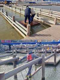 天津帶娃封神體驗!海上小火車追海鷗值哭