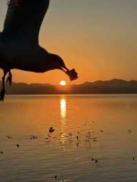 昆明環湖新南路日出 | 美到心醉