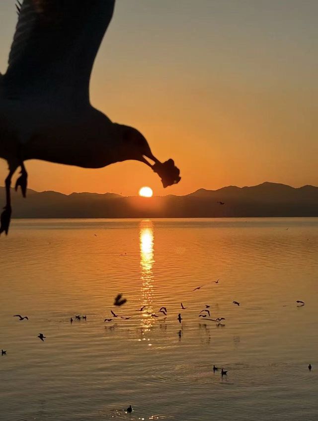昆明環湖新南路日出 | 美到心醉