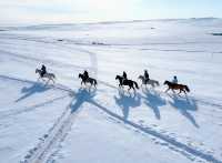 呼倫貝爾的正確打開方式本地人教你玩