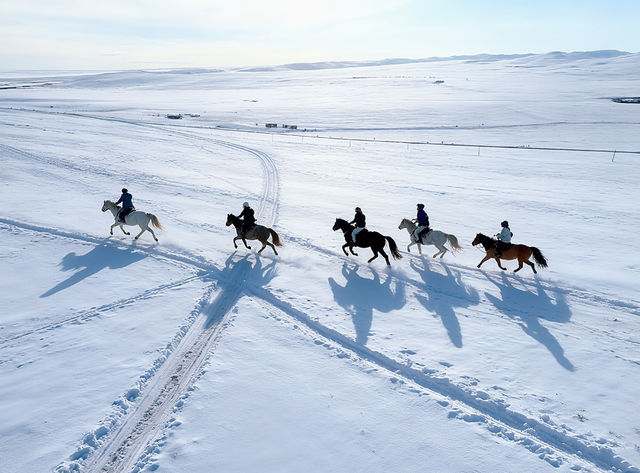 呼倫貝爾的正確打開方式本地人教你玩