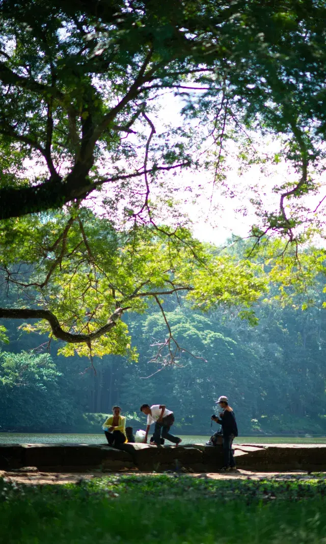 叢林裡的吳哥窟 叢林裡的吳哥窟