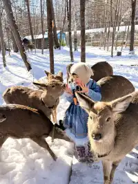 我宣佈長白山才是冬天親子遊的天花板