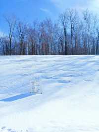 【哈爾濱·原生態雪景穿越路線】