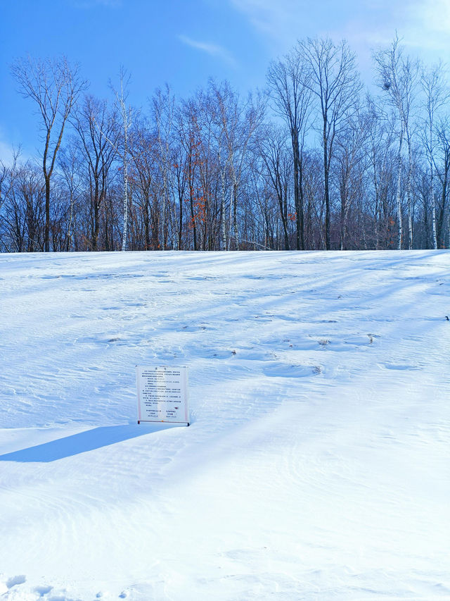 【哈爾濱·原生態雪景穿越路線】