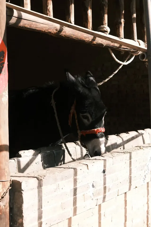 後溝古村｜榆次深山裡的時間縫隙（附攻略）