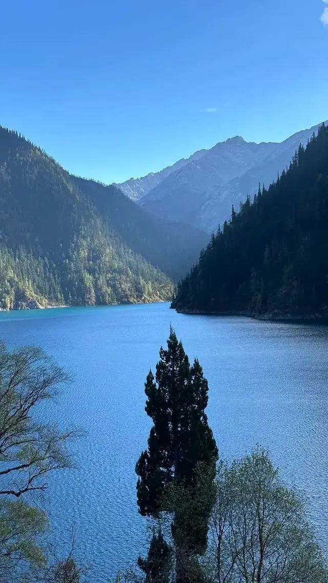 不上班後 人生都明媚了