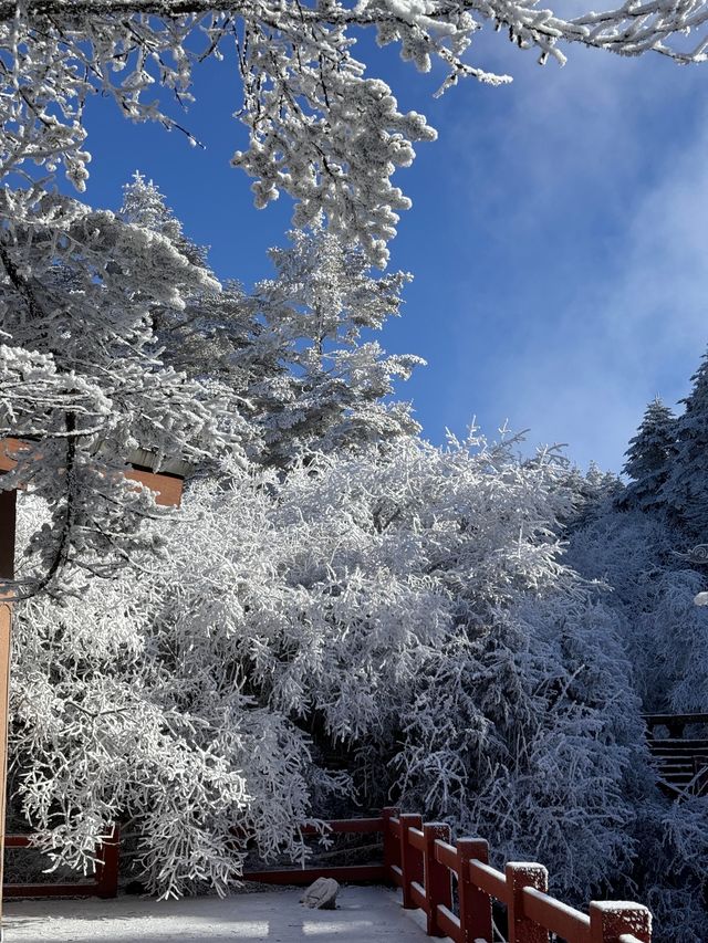 風景優美，去旅遊不來一次峨眉山，真的很可惜，每年都有不一樣的風