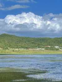 美得不像話雲南麗江也有自己的阿勒泰