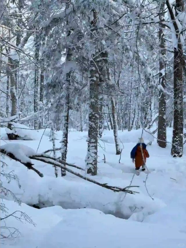 帶娃去了長白山,這雪景酒店比瑞士還震撼! 帶娃去了長白山,這雪景酒店比瑞士還震撼!