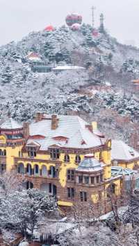 12.13下雪的青島瘋了